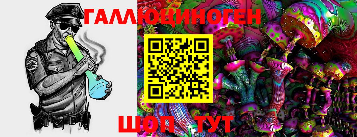 Псилоцибиновые грибы Psilocybine cubensis  Псилоцибиновые грибы Psilocybine cubensis  Вход с VPN  Сальск 