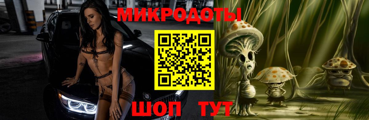 Галлюциногенные грибы Psilocybine cubensis Сальск
